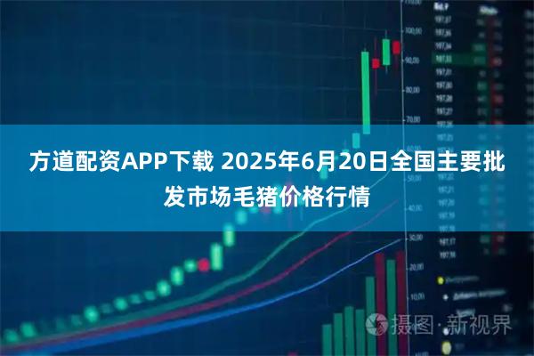 方道配资APP下载 2025年6月20日全国主要批发市场毛猪价格行情