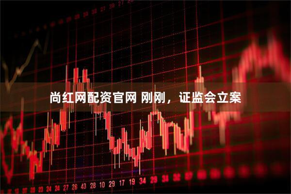 尚红网配资官网 刚刚，证监会立案
