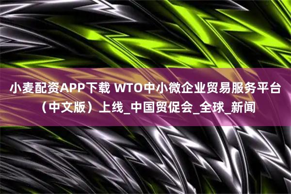 小麦配资APP下载 WTO中小微企业贸易服务平台（中文版）上线_中国贸促会_全球_新闻