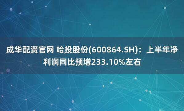 成华配资官网 哈投股份(600864.SH)：上半年净利润同比预增233.10%左右