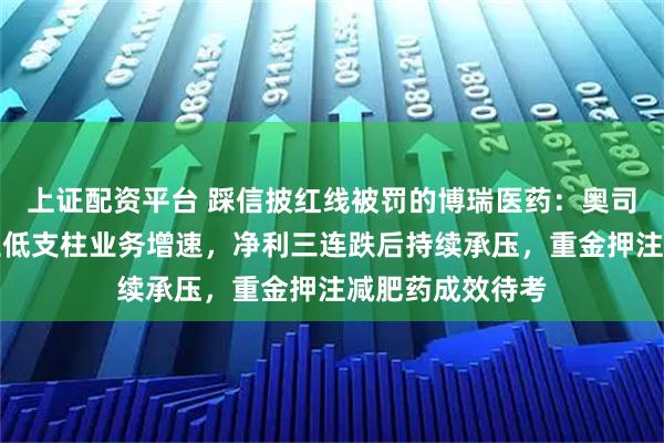 上证配资平台 踩信披红线被罚的博瑞医药：奥司他韦需求下滑拉低支柱业务增速，净利三连跌后持续承压，重金押注减肥药成效待考