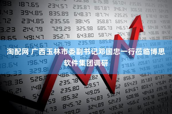 淘配网 广西玉林市委副书记邓国忠一行莅临博思软件集团调研