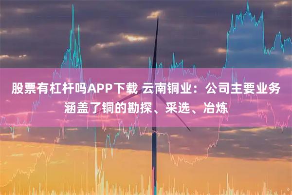 股票有杠杆吗APP下载 云南铜业：公司主要业务涵盖了铜的勘探、采选、冶炼